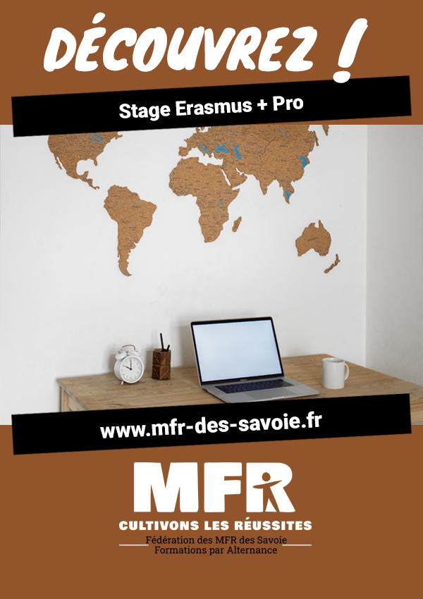 Stage Erasmus + Pro